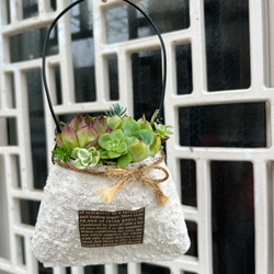 ☆送料無料☆♡そのまま飾れる♡箱庭風多肉植物寄せ植え