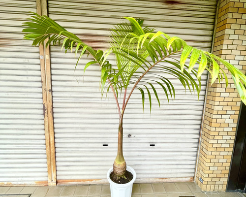 a75b12f358144df13385895f507353