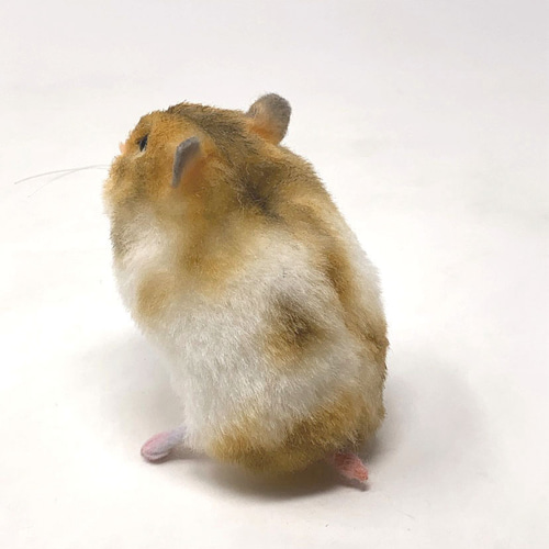 SHUのIcanシリーズ ハムスター作品 SHUのIcanシリーズ ハムスター作品