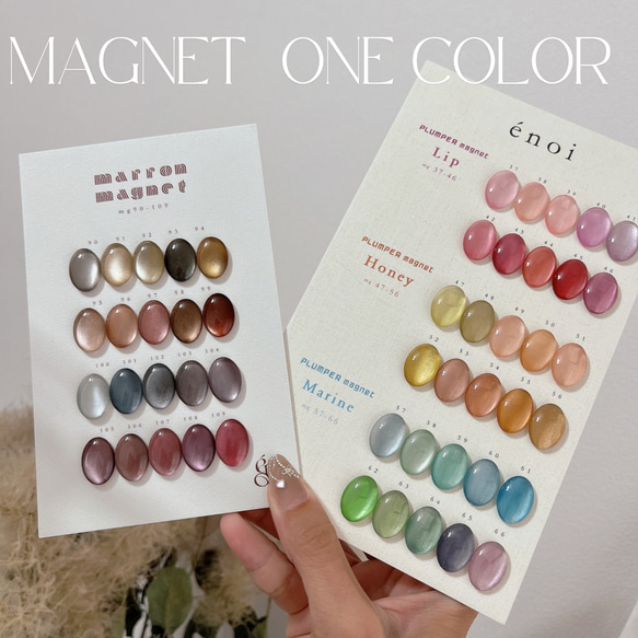 ネイルチップ＊enoi マグネットワンカラー プランパー マロンマグ