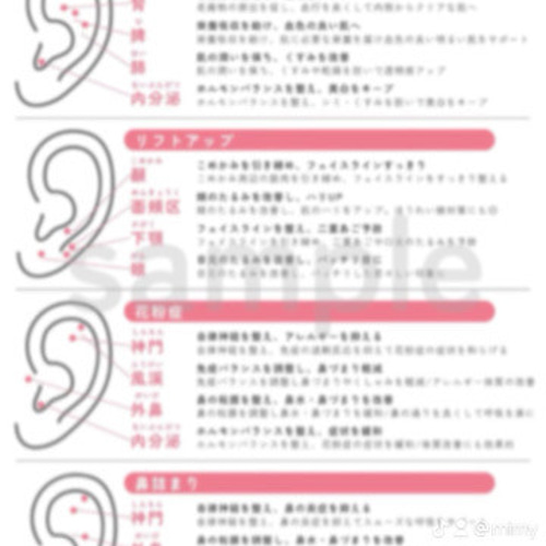 耳つぼジュエリー | 耳ツボ辞典 | 耳ツボマップ イヤリング