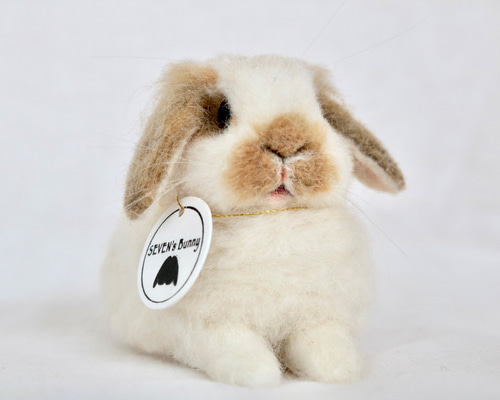 5adab7875770996ccd5182544db515