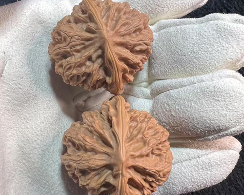 遊ぶ胡桃、文玩核桃、【老木獅子頭クルミ】383736/33.1g/JST25049