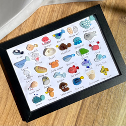 シーグラスアート☆No153 図鑑 ギフト プレゼント 父の日 海の生き物