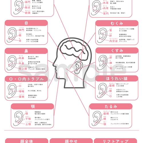 耳つぼジュエリー | 耳ツボ辞典vol.4 | 耳ツボマップ イヤリング