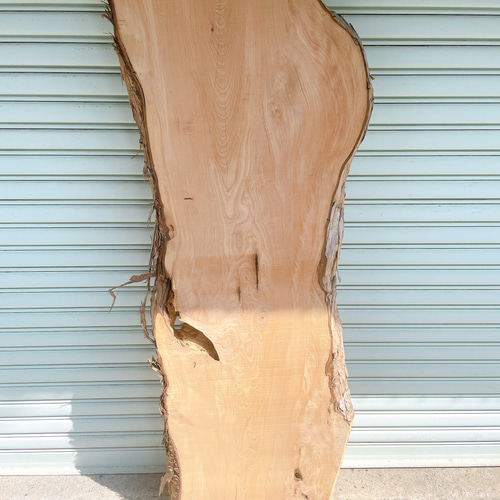 天然 イヌマキ DIY材 木材 天板 テレビ台 無垢材 カウンターテーブル