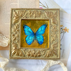 469bfc785a1ba38d0da0144e36678b