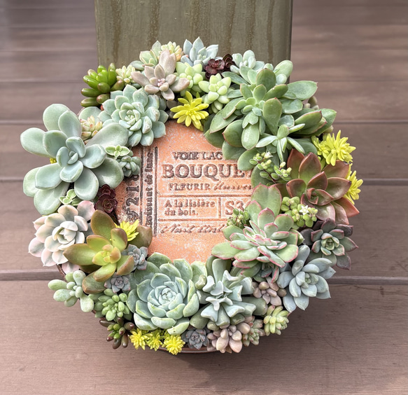 多肉植物 寄せ植え そのまま飾れる♡.*゜リース♡*°オレンジ 多肉植物