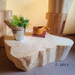 国産天然木 東濃ひのき根元末広がり 切株テーブル・丸太テーブル・無