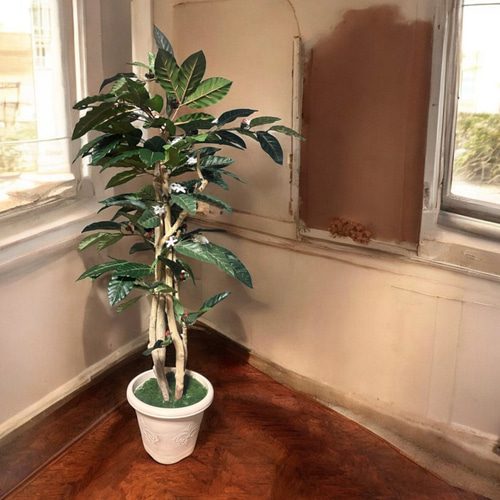 光触媒 人工観葉植物 ウォールグリーン フェイクグリーン コーヒーの木