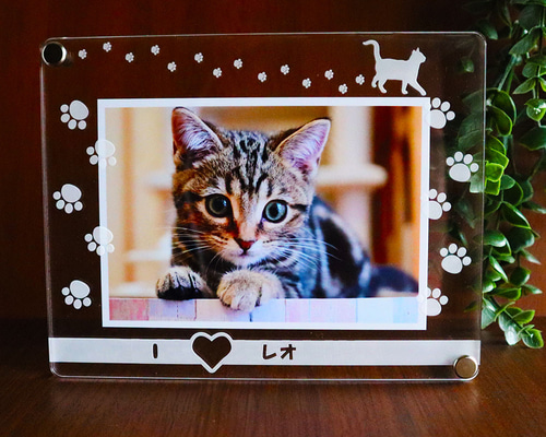 ☆ 猫種50種選べる☆肉球あしあと アクリル フォトフレーム(L判サイズ