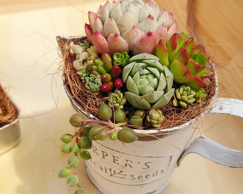 0c2def92ab801bfa2dd32a68f6afc5