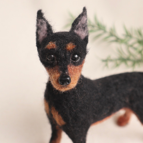 受注制作》羊毛フェルト 犬♡ ミニチュア ピンシャー ♡ 羊毛フェルト