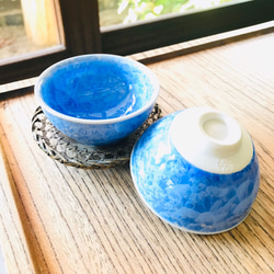 清水焼 花結晶 盃 大(銀藤) おちょこ・ぐい呑み・徳利 京焼・清水焼