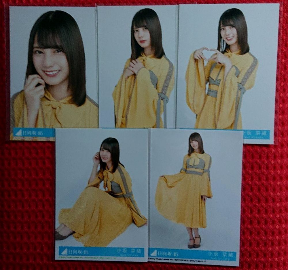 日向坂46 セミコンプ  生写真 コンプ