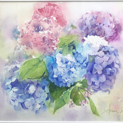 透明水彩画 紫陽花（あじさい）F10サイズ 額縁付 原画 新築・引越し