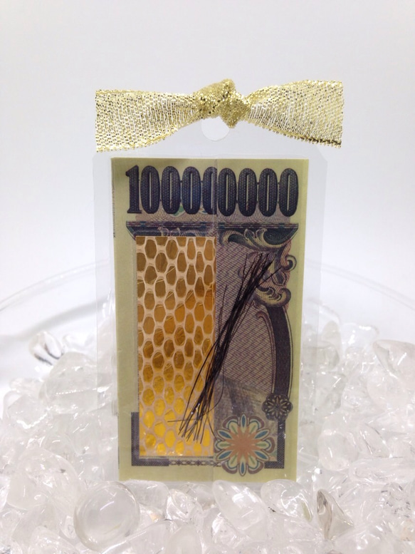 白蛇の抜け殻＆馬のたてがみ お守り【台紙なしタイプ】 二つ折り財布