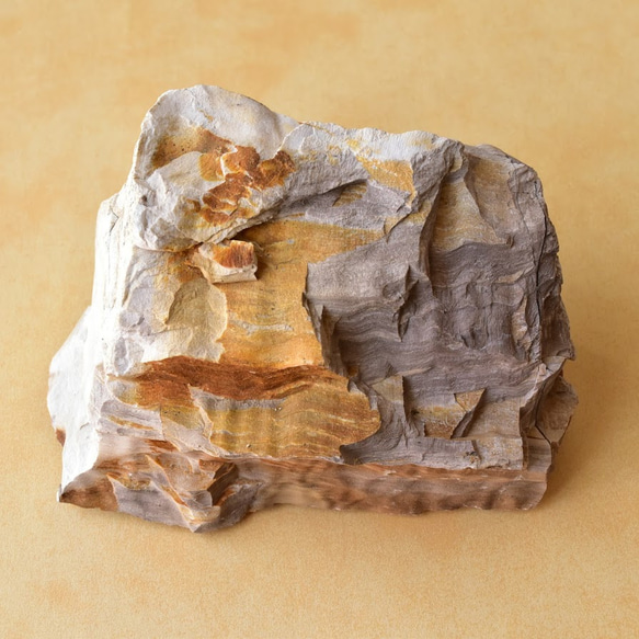 珪化木 ペトリファイドウッド 石になった木 愛知県犬山市産 145g/ 化石
