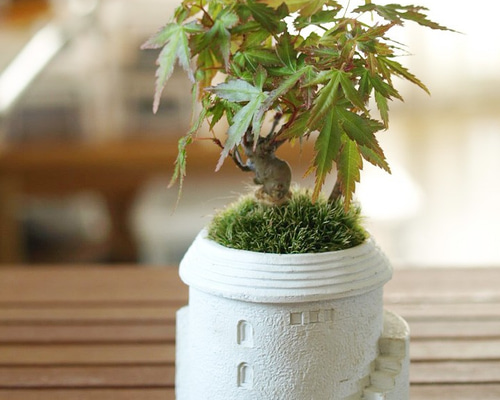 手のひらサイズのミニ盆栽【イロハモミジ】 その他インテリア雑貨 道草