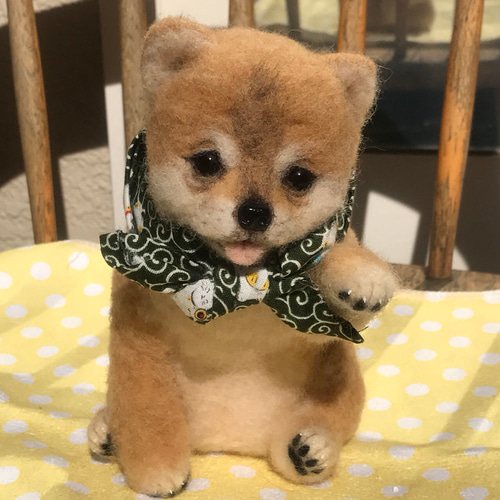 羊毛フェルト:豆柴の赤ちゃん(お手ポーズ) 羊毛フェルト ♪めれんげど