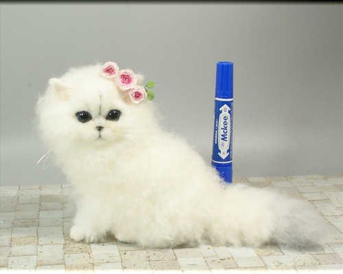 0_8e5d147ef8e652c8e0507517cca3