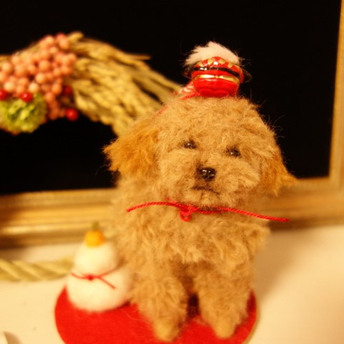 送料無料 トイプードルのお正月飾り＆クリスマスプレゼント付き 犬