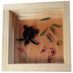 アクリル樹脂×天然木インテリア 「極」こだわりの純日本製 3D金魚 金魚