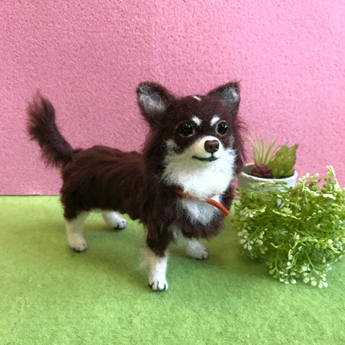 チワワ(チョコタン)☆羊毛フェルト☆【再販/受注製作】 羊毛フェルト