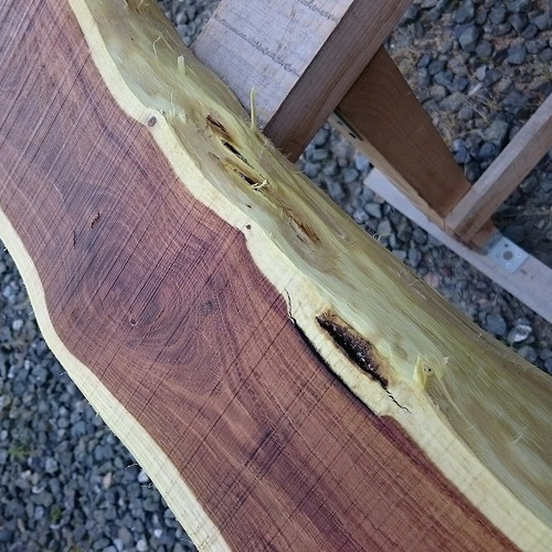 エンジュ 槐 延寿 工芸 彫刻 銘木 希少材 NO7 木材・板 こうきち 通販