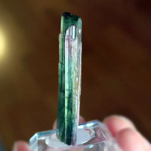 トルマリン原石 バイカラ― 48mm 天然石 コレクション｜原石・鉱物｜10