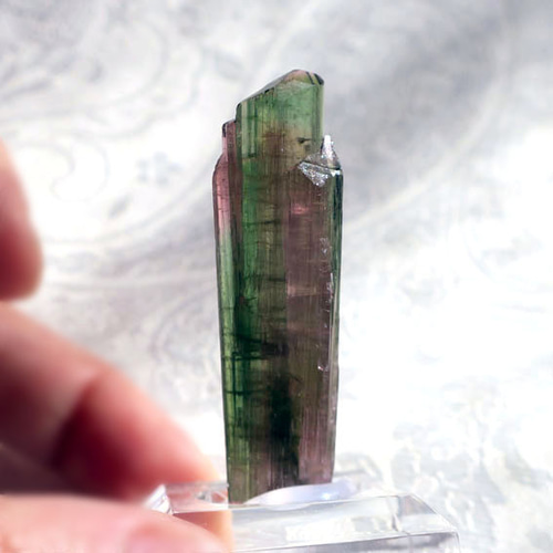 トルマリン原石 バイカラ― 48mm 天然石 コレクション｜原石・鉱物｜10