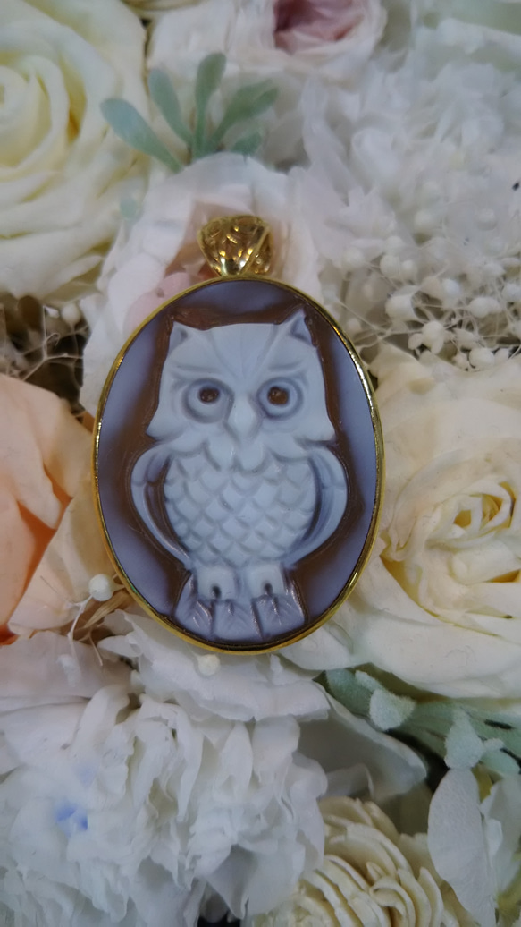 シェルカメオ フクロウ Cameo ペンダント ブローチ ネックレス