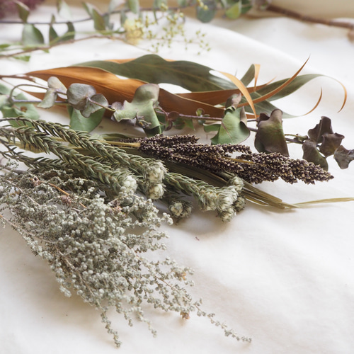 ドライフラワー ボタニカル ネイティブフラワー花材セット Mサイズ