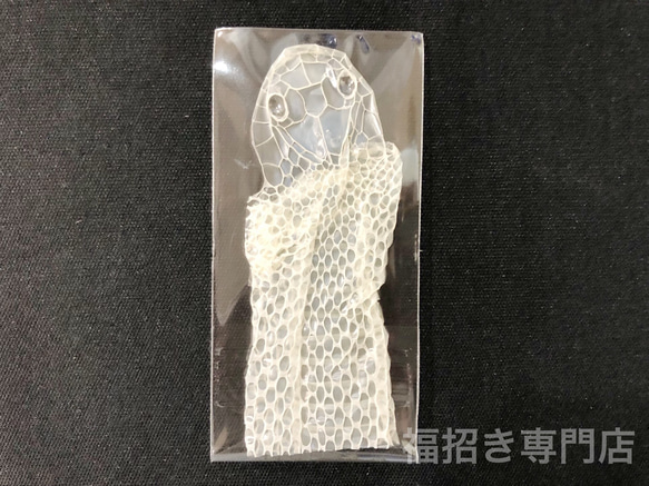 白蛇 抜け殻 頭 1個 置物 インテリア 宝くじ 脱殻 その他インテリア