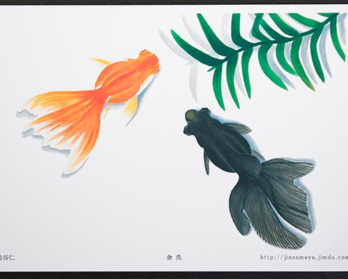 絵ポストカードNo.44「金魚」【選べる3枚】 ポストカード 染谷仁 通販