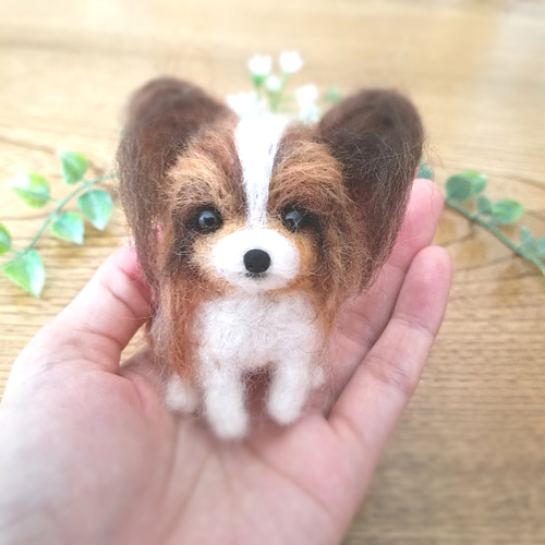 送料無料】羊毛フェルト パピヨン♡犬 羊毛フェルト ♡ron♡ 通販