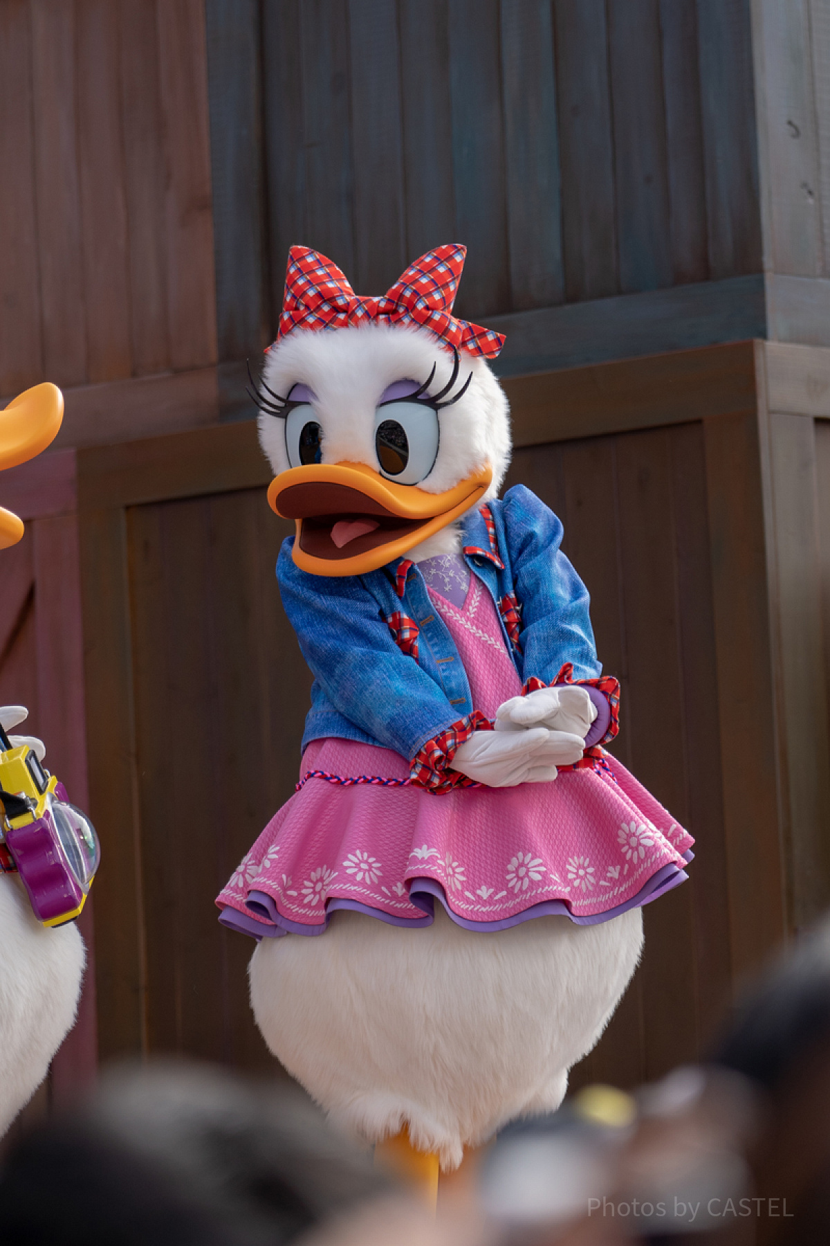 デイジーダック| キャステル | CASTEL ディズニー情報