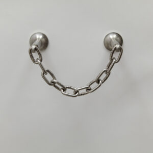 Chen Chen & Kai Williams