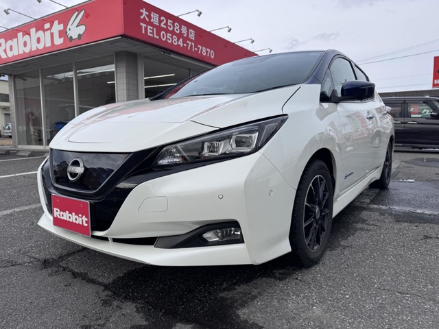 日産 リーフ G（価格:109万円, 岐阜県, 物件番号:36741714） 詳細