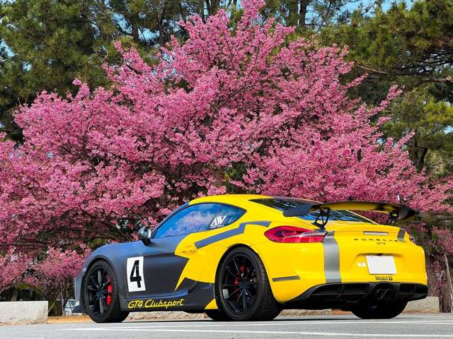 アクセルワールド | 中古車なら【カーセンサーnet】