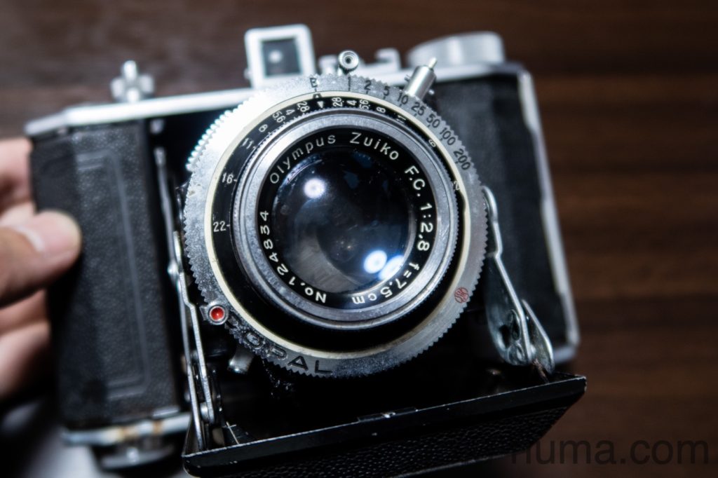 蛇腹カメラのZuiko 7.5cm F2.8を中判デジタルで使ってみた | カメヌマ