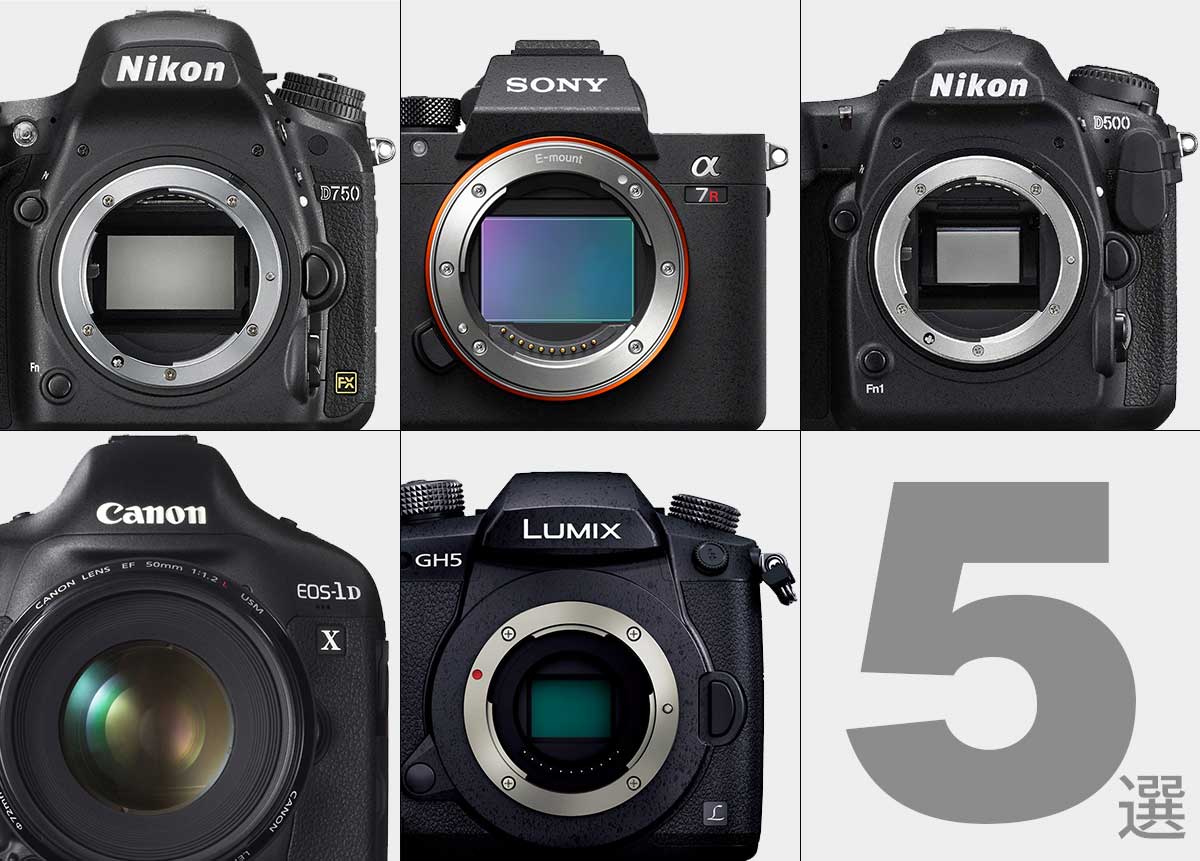 CAMEOTA.com 総合カメラ情報サイト