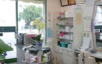 クロロフイル│店舗検索