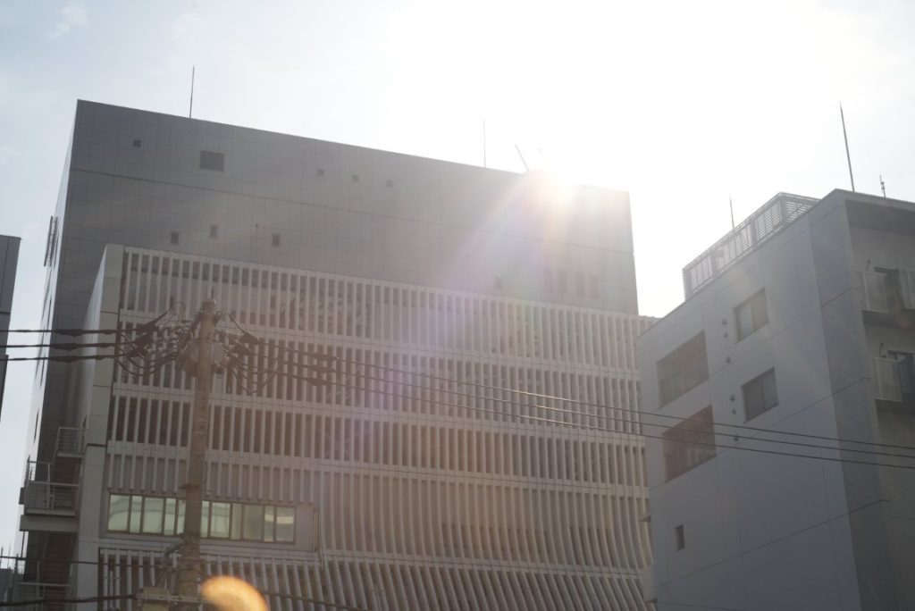 優しい光に包まれて。KONISHIROKU HEXAR（ヘキサー） 50mm f3.5作例