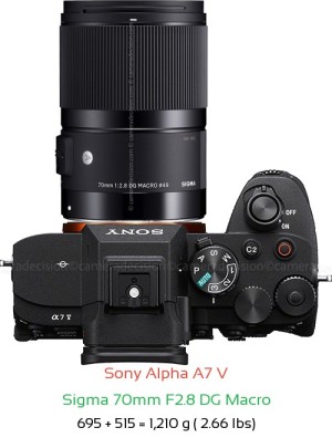 Sigma 70mm F2.8 DG Macro Art Lens Review and Specs