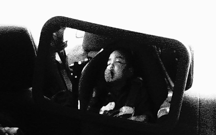 The Digital Harinezumi Guru (Final 2011 Special Edition) – Camera