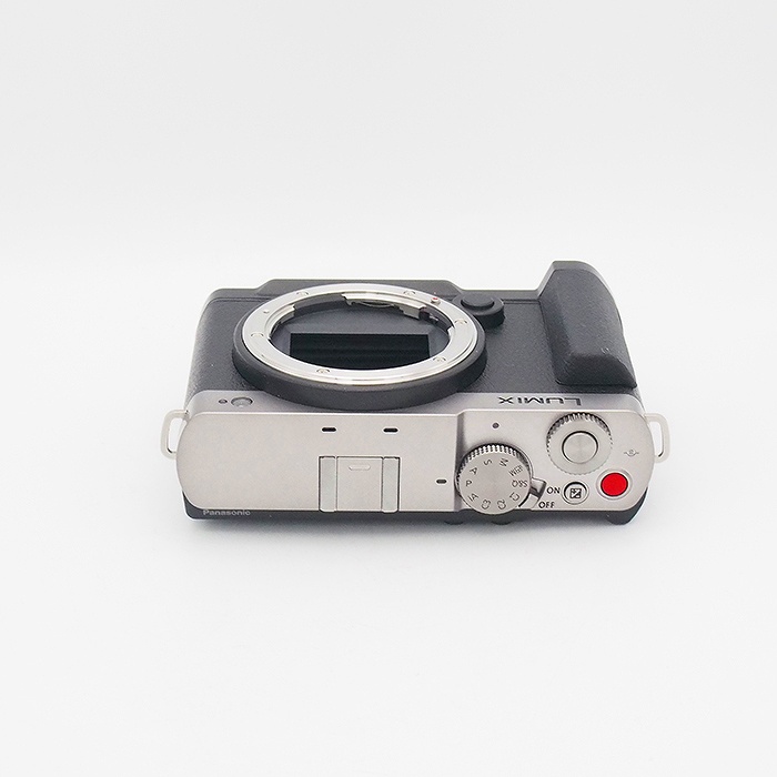 中古】(パナソニック) Panasonic LUMIX S9 DC-S9-S ダークシルバー+