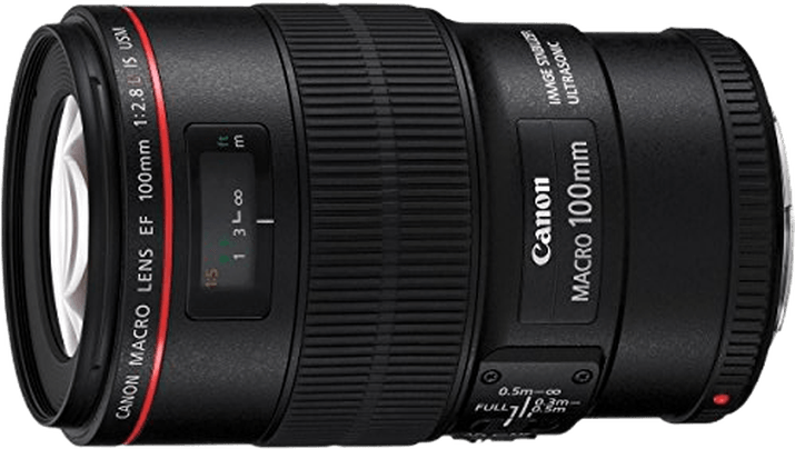 Canon EF 100mm f/2.8L USM Macro Lens Review 2026
