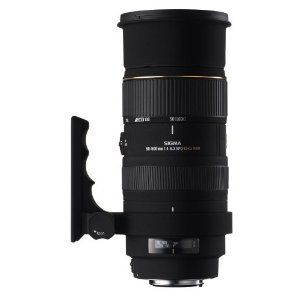 Sigma 50-500mm f/4.5-6.3 APO DG OS HSM Lens for Nikon | Sigma Lenses