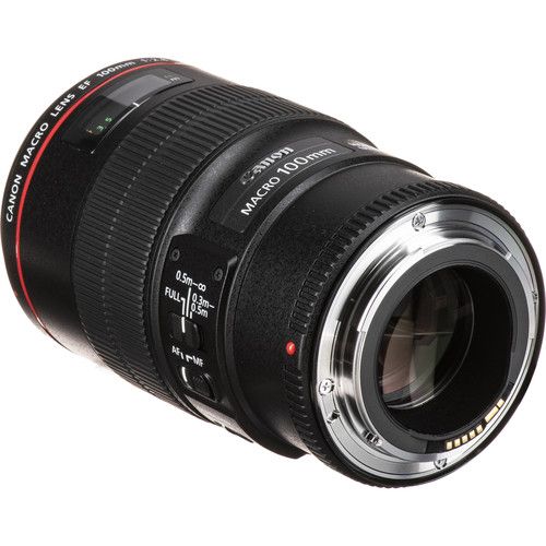 Canon EF 100mm f/2.8L Macro IS USM Lens | Macro Lenses